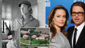 Brad Pitt žene Angelinu Jolie k soudu: Prodala část jeho milované vinice ve Francii!