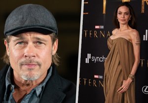 Podle Pitta si Jolie obvinění z domácího násilí vymyslela.