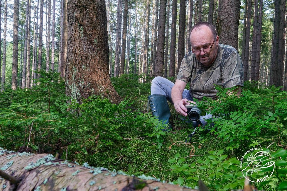 Vzácnou orchidej, bradáček srdčitý, objevil v Brdech milovník zdejších lesů a fotograf přírody Karel Hutr.