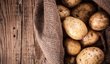 Jak vybrat brambory na salát, vám poradí Jiří Konhefr, spolumajitel řetězce Food Story