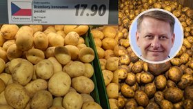 Sklizeň vrcholí, ale brambory jsou za 18 Kč! Kdo a kolik na nich vydělává a jak se tvoří cena?