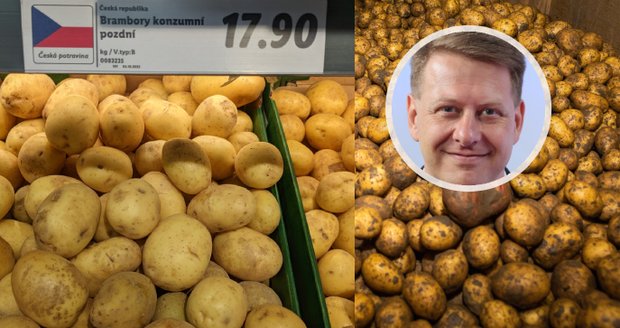 Sklizeň vrcholí, ale brambory jsou za 18 Kč! Kdo a kolik na nich vydělává a jak se tvoří cena?