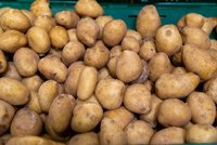 Cena brambor: „Katastrofa zažehnána,“ říká po sklizni ekonom. Méně je řepky či hrachu