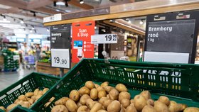 Pěstitelé: Úroda brambor bude průměrná, možná podraží