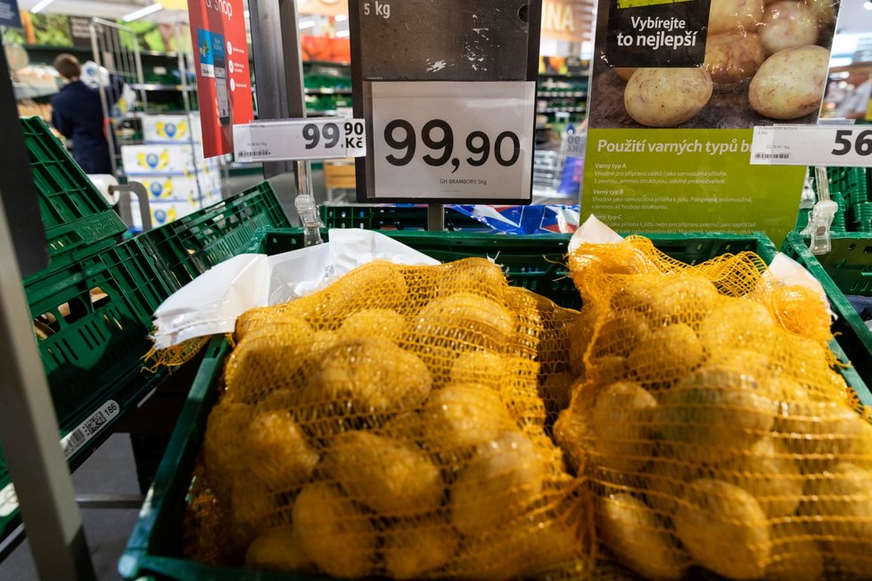 Úroda brambor je lepší než loni, ale zaostává pod průměrem