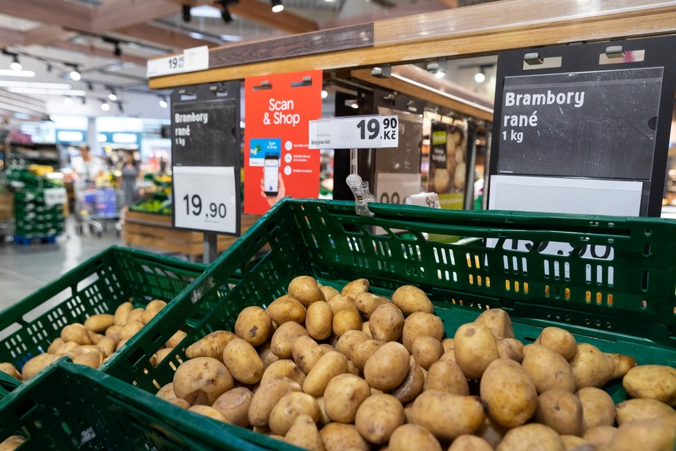 Pěstitelé: Úroda brambor bude průměrná, možná podraží.