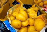 Češi a brambory: Nejvíc frčí bramboráky! Proč dovážíme tuny brambor z Egypta?