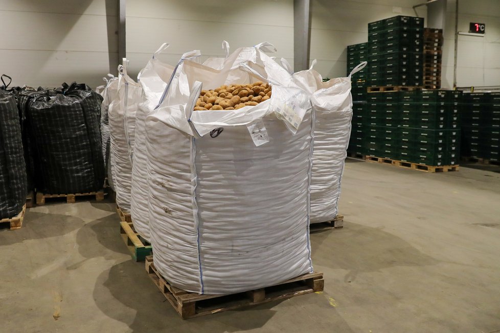 Pohled do provozu, kde se připravují rané brambory pro převoz do obchodu (14.6.2021)