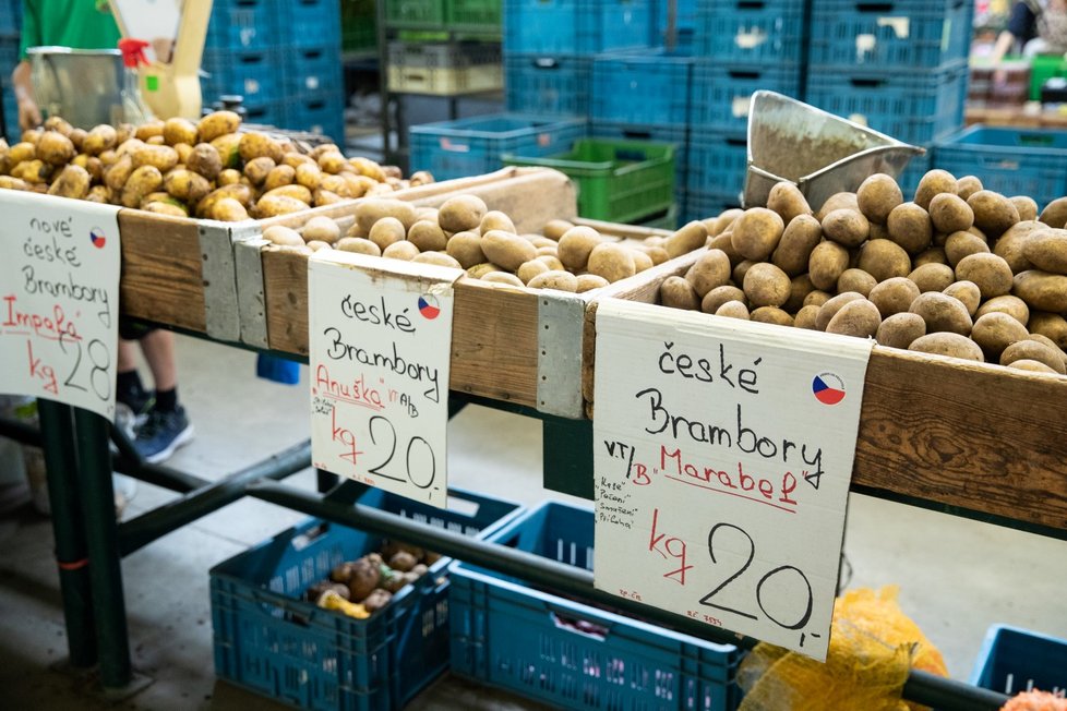 Ceny brambor jsou nyní dost rozdílné. (6. 6. 2020)