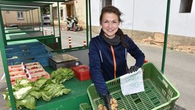 Karolína Cibulková měla ve svém stánku v plzeňské tržnici v Tylově ulici včera před polednem posledních pár raných brambor.