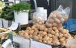 Na tržišti v Hradci Králové se kilo brambor prodává v průměru za 12 Kč.