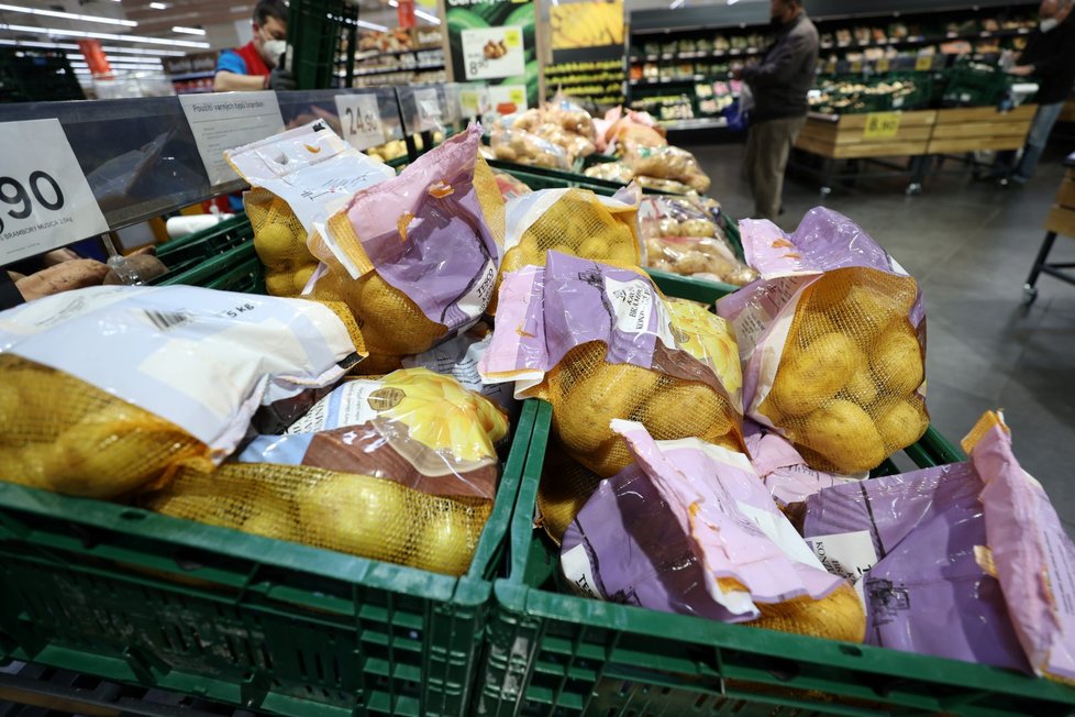 Úroda brambor je v Česku letos nižší a pěstitelé bijí na poplach