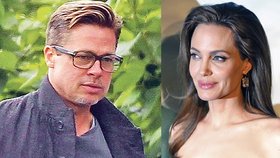 Podle kamarádky hollywoodského páru je Angelina pěkná mrcha! Herečka se prý chtěla s Bradem rozvést dávno před aférou v letadle.