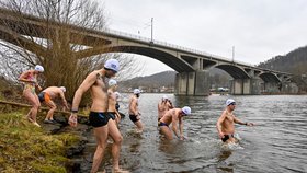 Přes 230 plavců se dnes v Praze po poledni zúčastnilo otužilecké soutěže Branické ledy