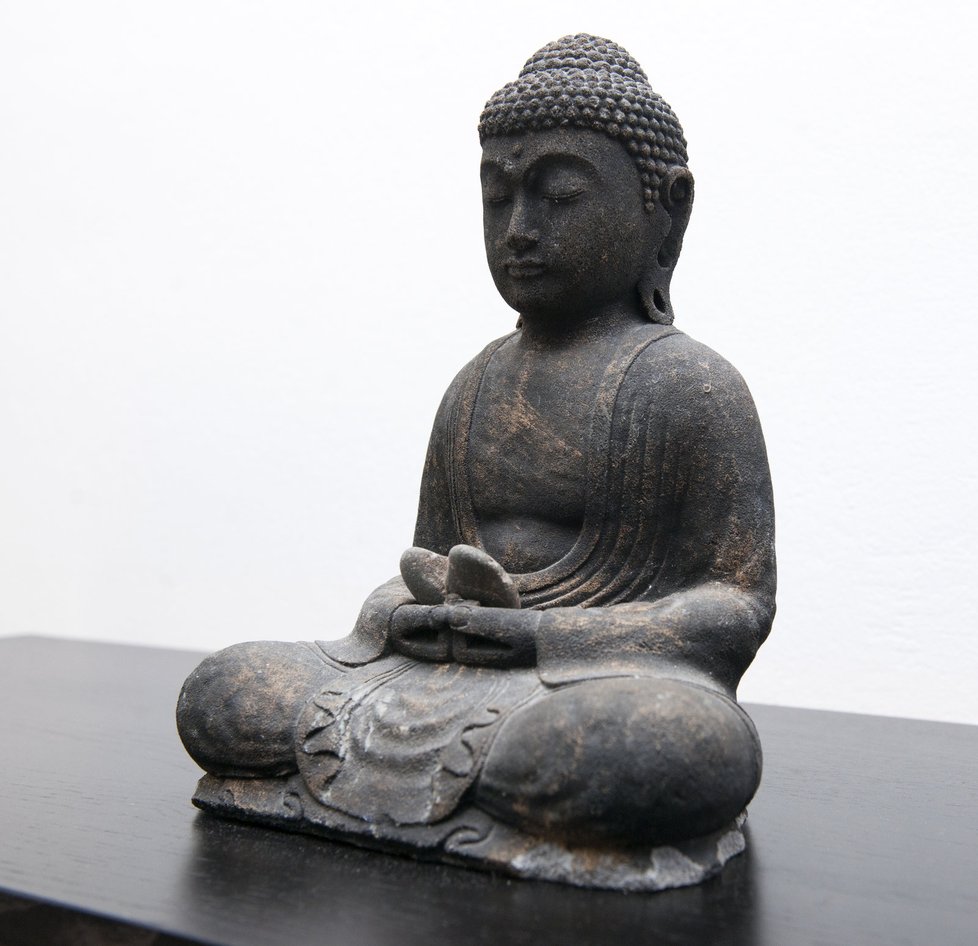 Herec se hodně zajímá o duchovní síly, rovnováhu v těle a klid, které přináší i tento Buddha.