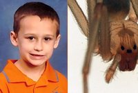 Pětiletého chlapce kousl jedovatý pavouk: Jeho tělo podlehlo jedu!