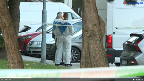 Při noční střelbě v Bratislavě byli zraněni čtyři lidé, útočníka policie zastřelila.