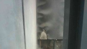 Požár v centru Bratislavy: Plameny v hotelu hasí desítky hasičů!