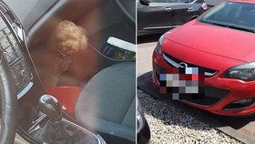 Žena zamkla psa v autě a šla nakupovat.