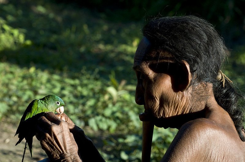 V brazilské Amazonii žije na milion domorodců.