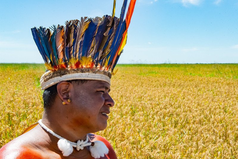 Domorodce civilizovat, nařizuje nynější prezident Brazílie Bolsonaro.