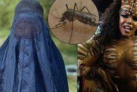 Jak se ochránit před virem zika? Noste burku, radí brazilští lékaři