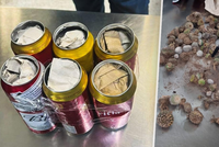 Češi mají pověst zlodějů kaktusů: Znají nás v Brazílii, Mexiku i JAR