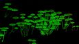 Šest nových druhů bioluminiscenčních hub bylo objeveno právě v Atlantickém lese.