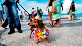 Karneval domácích mazlíčků: Bizarní dostaveníčko bohatých milovníků psů a koček na Copacabaně
