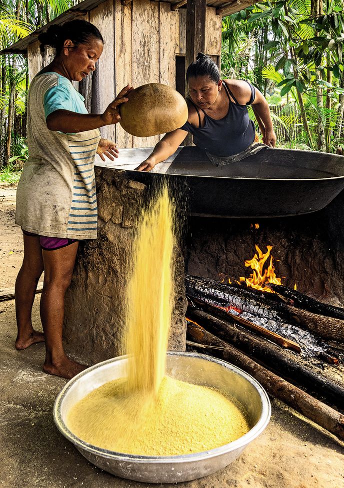 Síla, dovednost a vytrvalost žen Baniwa jsou obdivuhodné. Maniok je jejich chléb každodenní.