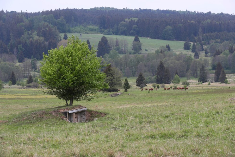 Brdy jsou nejmladší chráněnou oblastí v ČR. Skýtají v sobě přírodní krásy, vojenské základny ale i bohatou historii