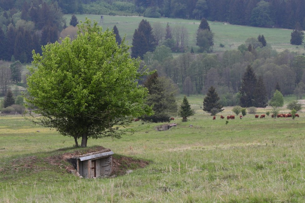 Brdy jsou nejmladší chráněnou oblastí v ČR. Skýtají v sobě přírodní krásy, vojenské základny ale i bohatou historii