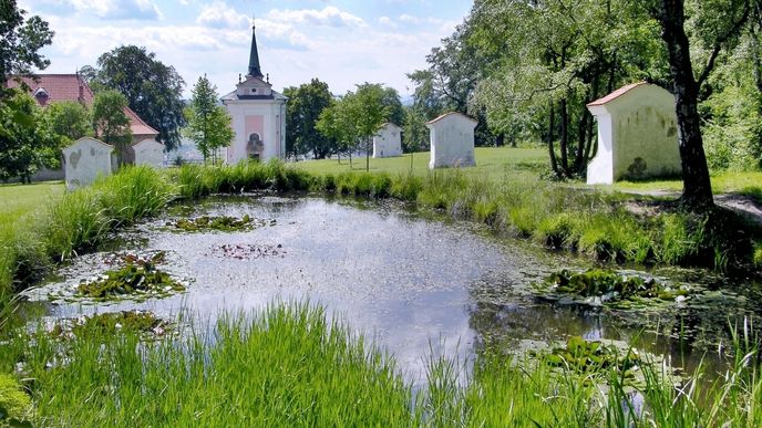 Vyhlídka - Brdy