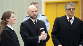 Breivik u příchodu k soudu opět hajloval.