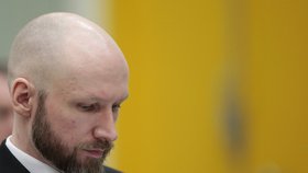 Breivik u příchodu k soudu opět hajloval.