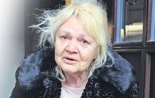 Legendární Brejchová (69): Nemůžu stát, vše mě bolí!