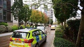 Policisté na místě dvojnásobné vraždy a sebevraždy v londýnském Brentfordu.