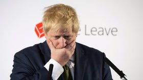 Bývalý londýnský starosta Boris Johnson v kampani za brexit