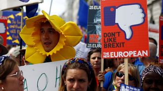 Polovina Britů chce nové referendum o odchodu z Evropské unie, tvrdí průzkum