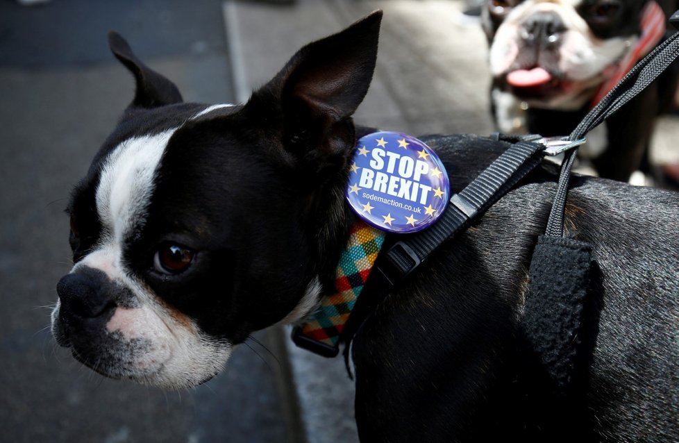 Londýnem prošli odpůrci brexitu, chtějí další referendum o dojednaných podmínkách (23. 6. 2018)