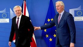 Hlavní vyjednávač EU o brexitu Michel Barnier (vpravo) a britský ministr zahraničí David Davis na jednání v sídle EU v Bruselu