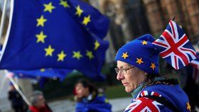 Odpůrci brexitu protestovali před budovou parlamentu v Londýně.