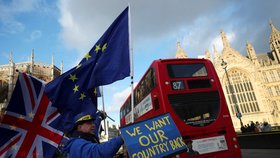 Odpůrci odchodu Británie z EU protestovali před budovou parlamentu v Londýně.
