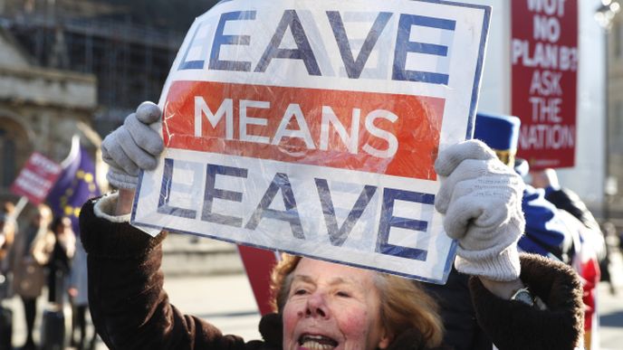 Brexit má mezi demonstranty své zastánce i odpůrce. Tato žena připomíná, že odchod znamená odchod.