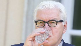 Německý ministr zahraničí Frank-Walter Steinmeier