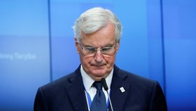 Lídři EU podpořili dohodu o brexitu: Michel Barnier(25. 11. 2018)