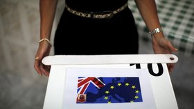 Britové v červnovém referendu hlasovali pro odchod z EU.