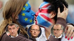 Jak dopadne referendum o Brexitu? Čeští politici tipovali.