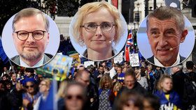 Čeští politici nejsou spokojeni, jak rozhodli britští poslanci ohledně brexitové dohody.