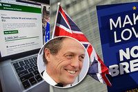 „Stav nouze,“ bije na poplach Hugh Grant. Petici proti brexitu podepsaly tři miliony lidí